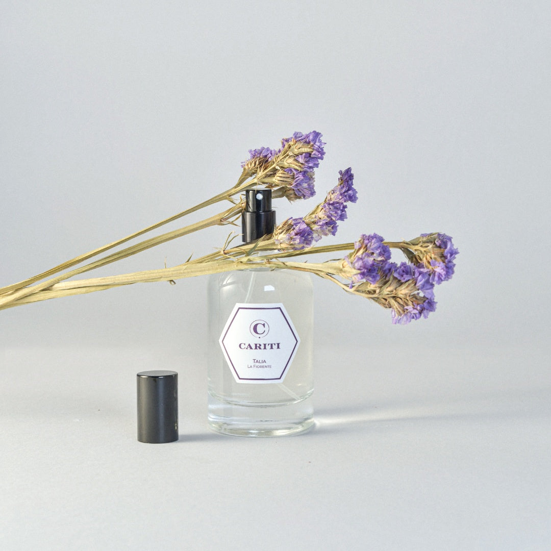 Spray Ambiente 100 ml
