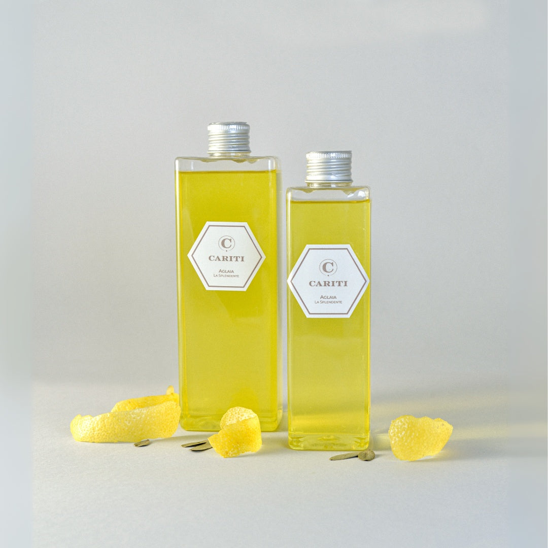Ricarica da 500 ml