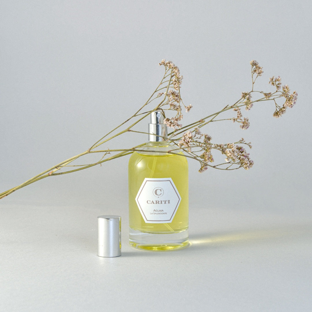 Spray Ambiente 100 ml