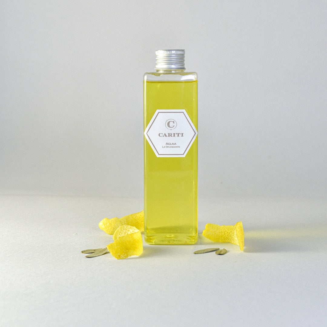 Ricarica da 250 ml