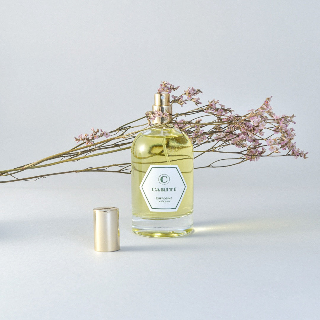 Spray Ambiente 100 ml